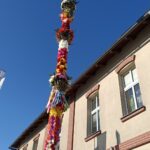 palma, Chełmiec