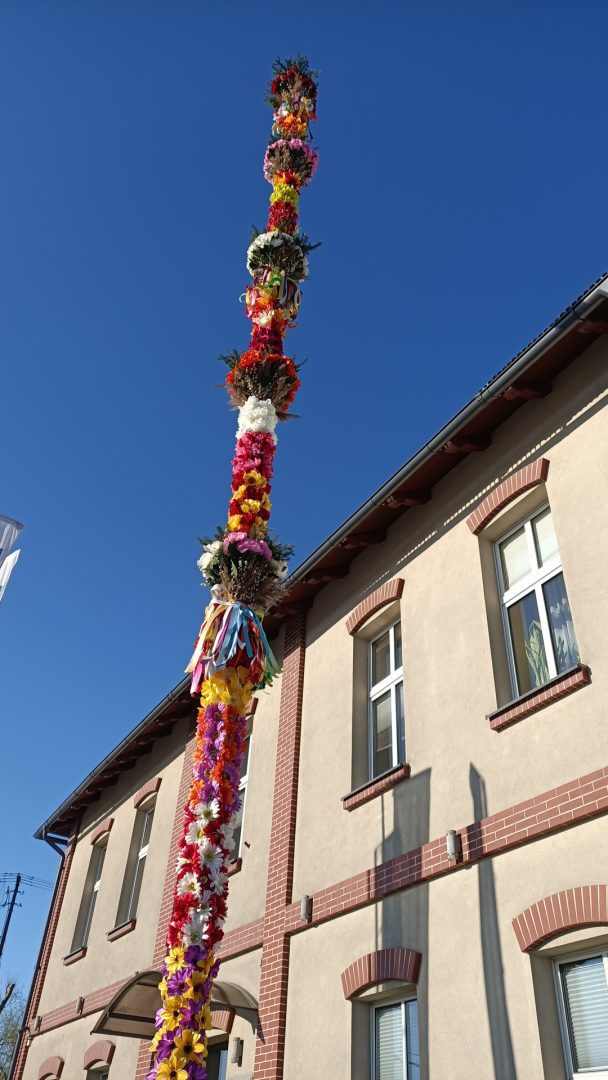 palma, Chełmiec