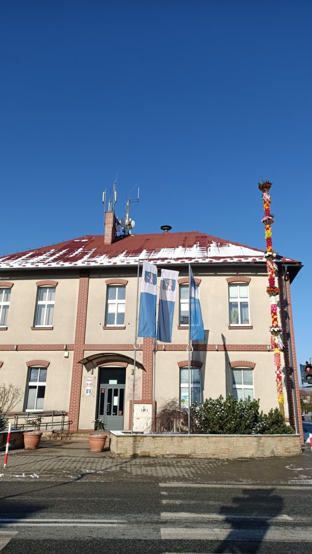 palma, Chełmiec