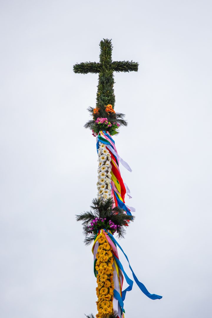 palmy, Nowy Sącz, Chełmiec