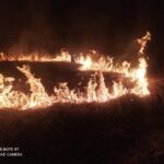pożar traw Sądecczyzna