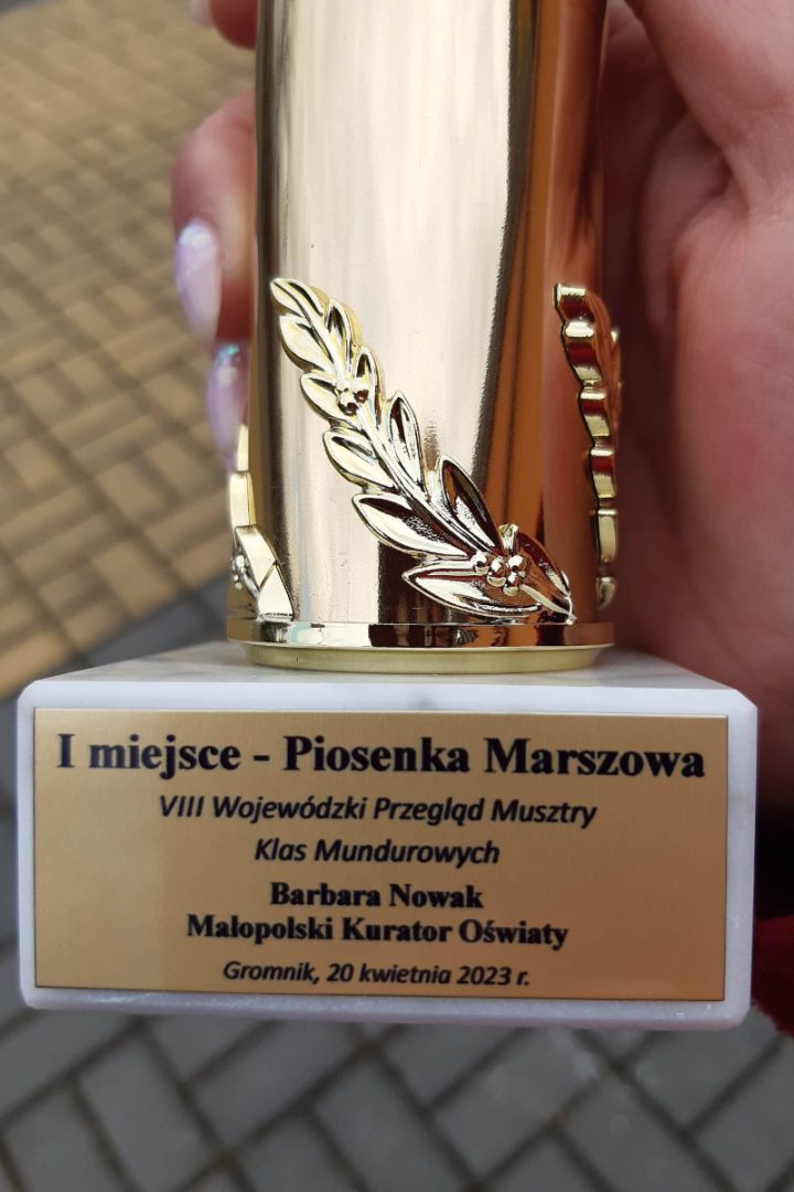 Strzelcy, Nowy Sącz, Przegląd Musztry