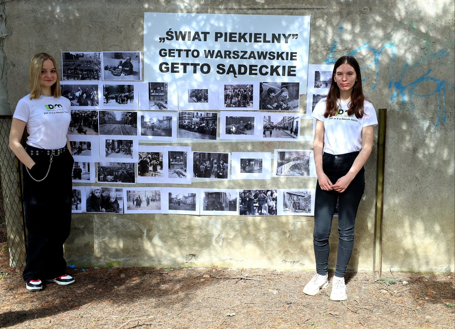 Sejm Dzieci i Młodzieży