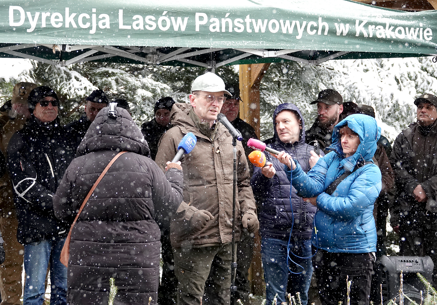 las Jana Pawła II, Stary Sącz