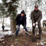 las Jana Pawła II, Stary Sącz