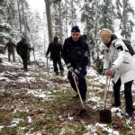 las Jana Pawła II, Stary Sącz
