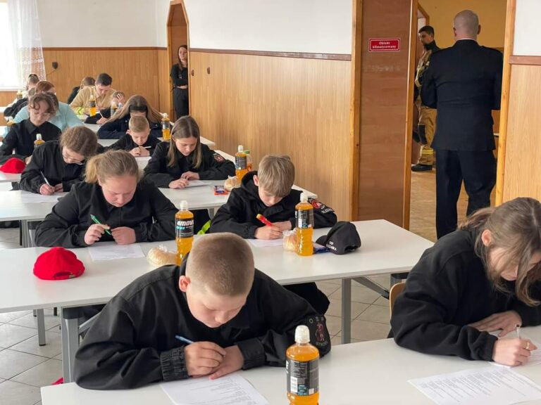 Strażacka wiedza im nie straszna. Etap powiatowy OTWP za nami