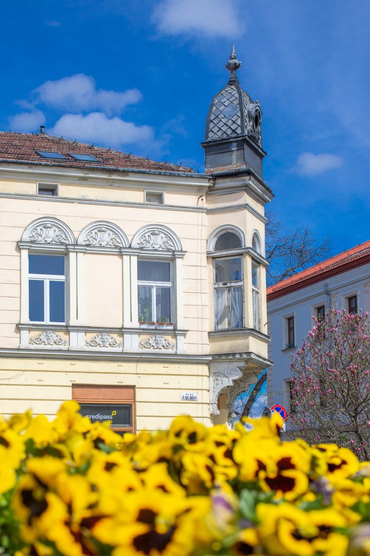 Ratusz, Nowy Sącz, Planty, Adrian Maraś, Batorego, Beskid, Rynek, zamek