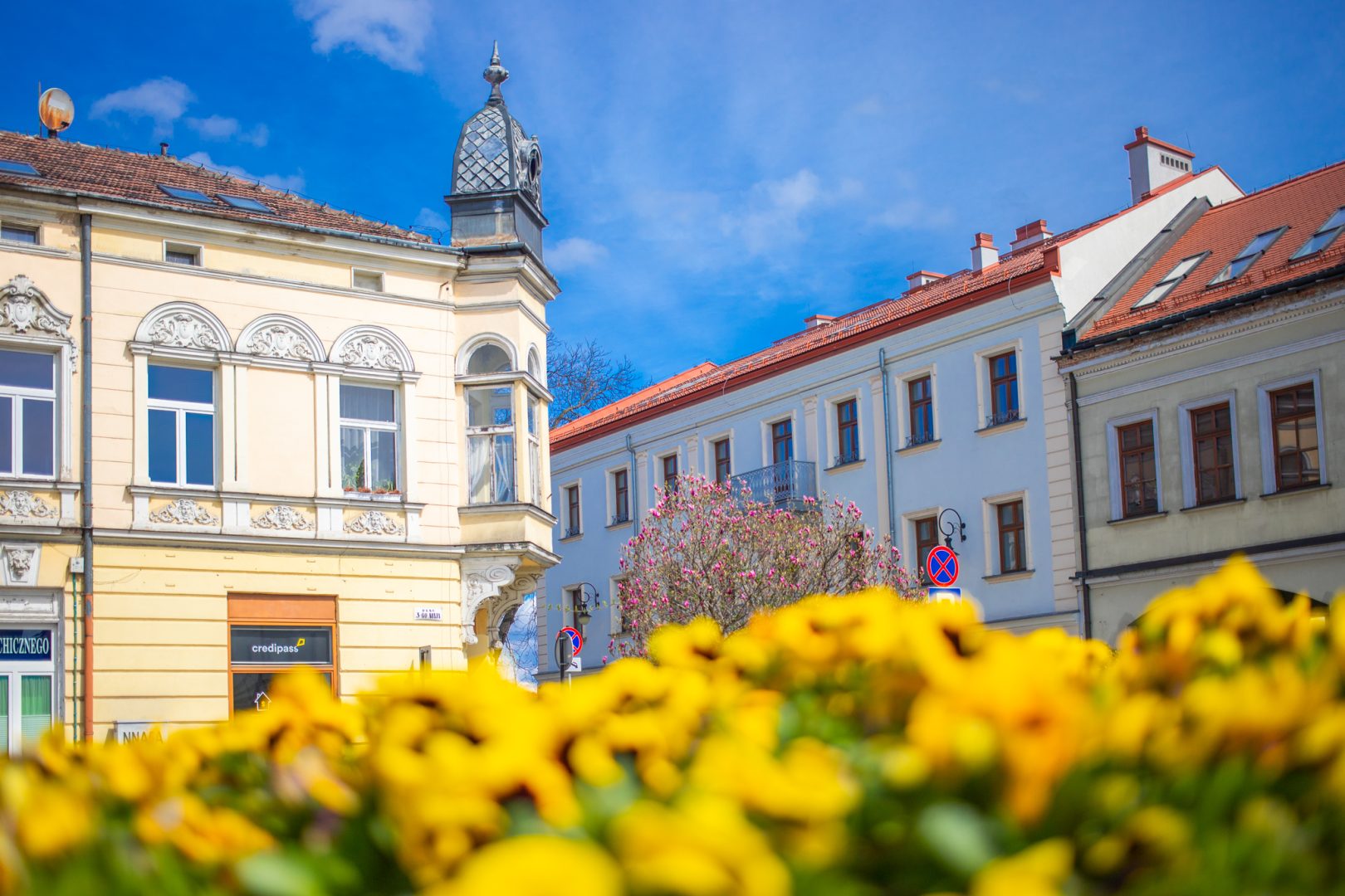 Ratusz, Nowy Sącz, Planty, Adrian Maraś, Batorego, Beskid, Rynek, zamek