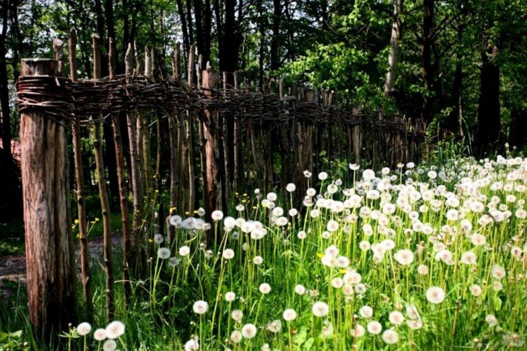 Sądecki skansen zaprasza na otwarcie sezonu turystycznego