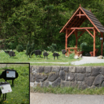 Łomnica-Zdrój, pod kicorą, źródełko, Piwniczna-Zdrój