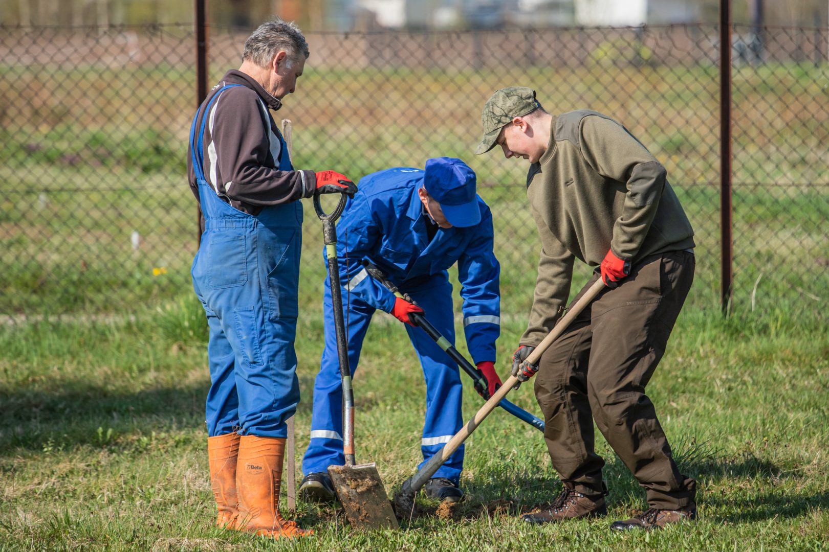 Świniarsko, Sądeckie Wodociągi, sadzenie drzew
