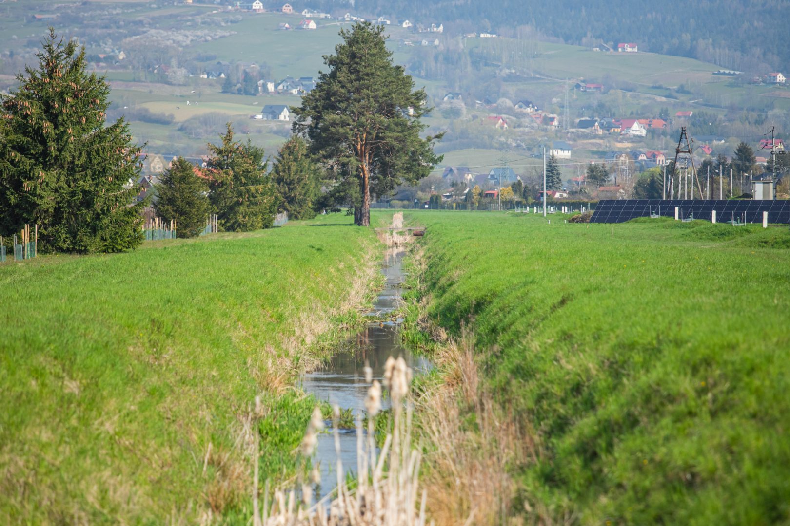 Świniarsko, Sądeckie Wodociągi, sadzenie drzew