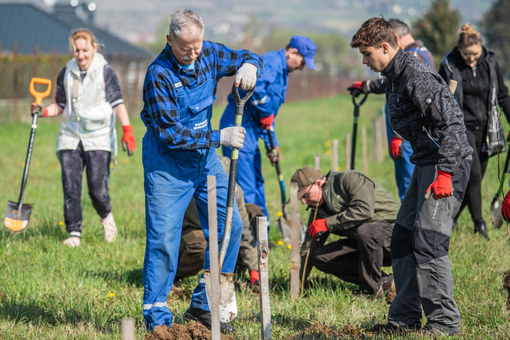 Świniarsko, Sądeckie Wodociągi, sadzenie drzew