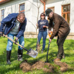 Świniarsko, Sądeckie Wodociągi, sadzenie drzew
