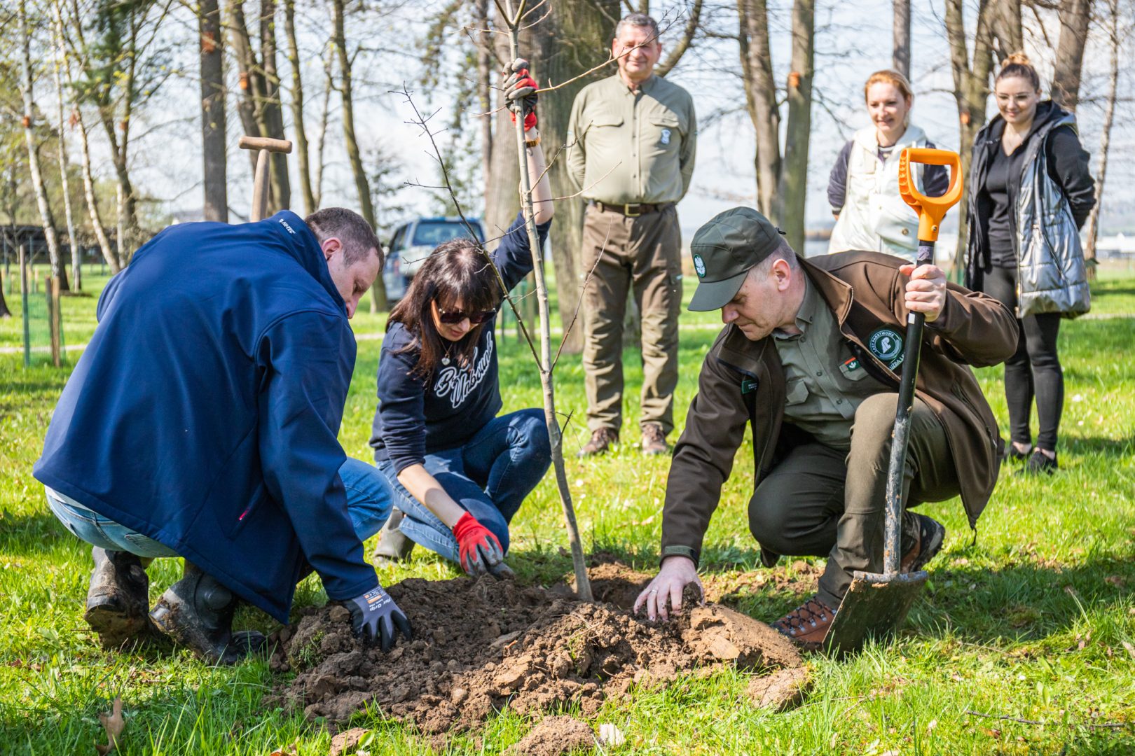 Świniarsko, Sądeckie Wodociągi, sadzenie drzew