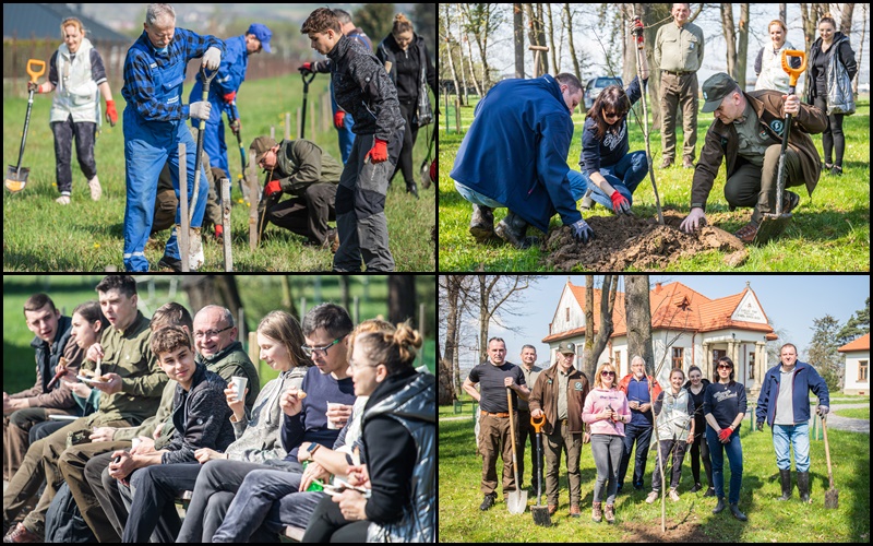Świniarsko, Sądeckie Wodociągi, sadzenie drzew