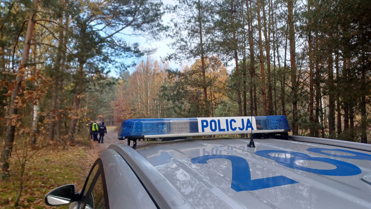 wycinka drzewa, policja, wypadek