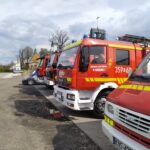 poszukiwania Mogilno