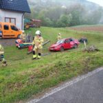 zderzenie Niecew