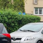 Żywiecka, Nowy Sącz