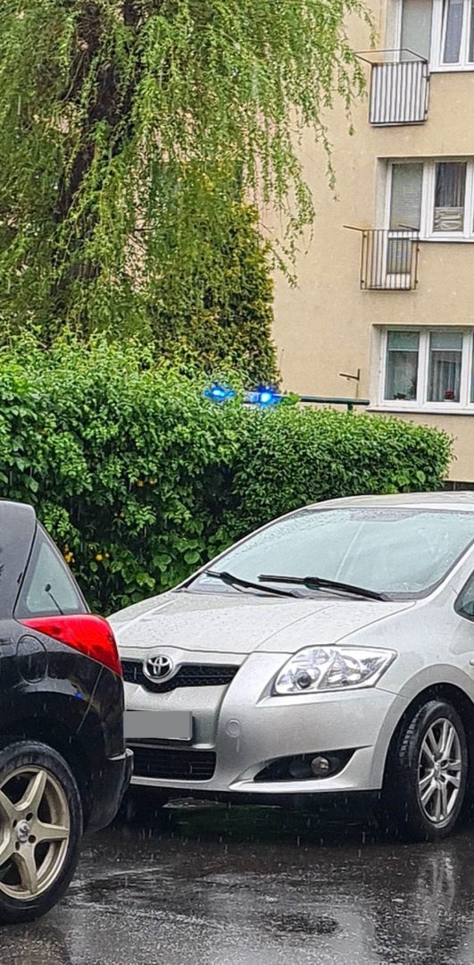 Żywiecka, Nowy Sącz