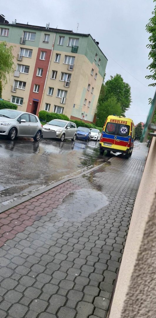 Żywiecka, Nowy Sącz
