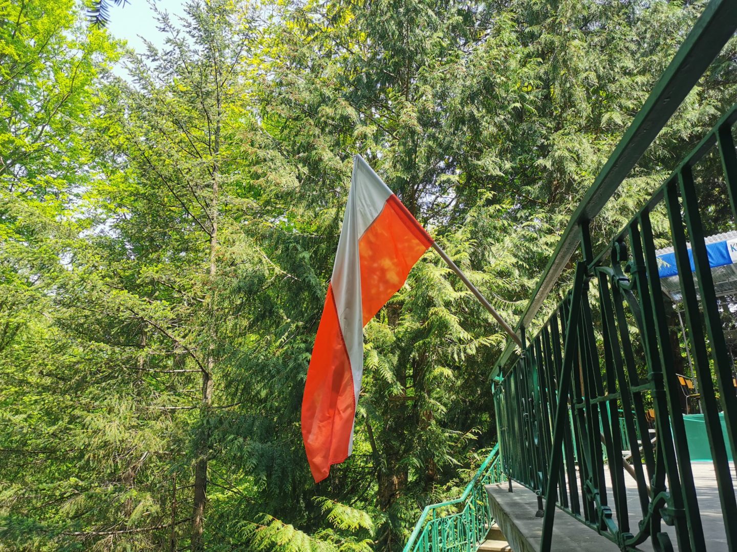 Trenuj z wojskiem, trenuj jak żołnierz, samoobrona kobiet, Krynica-Zdrój
