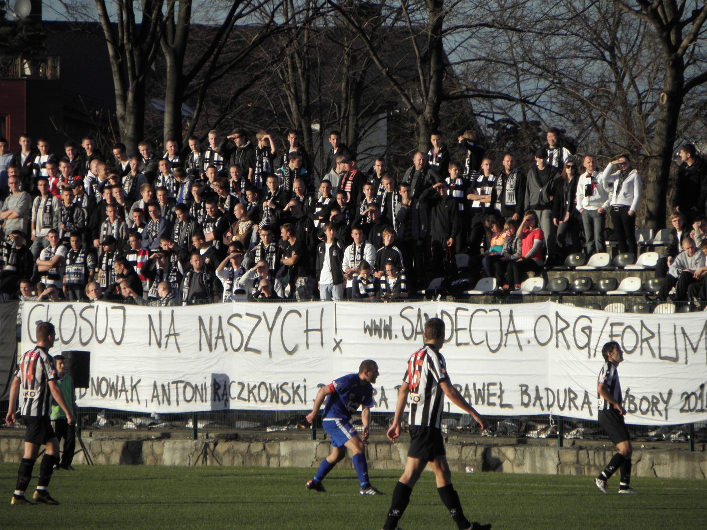 Sandecja