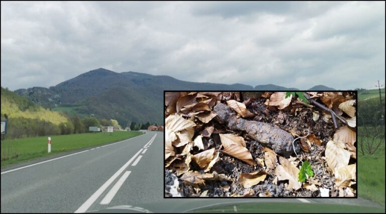 Cztery dni czekali na przyjazd saperów. Niewybuch zneutralizowano w ryterskim lesie