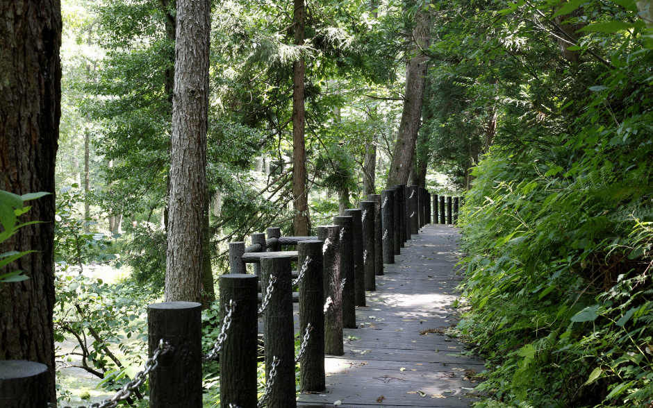 promenada, Barcice