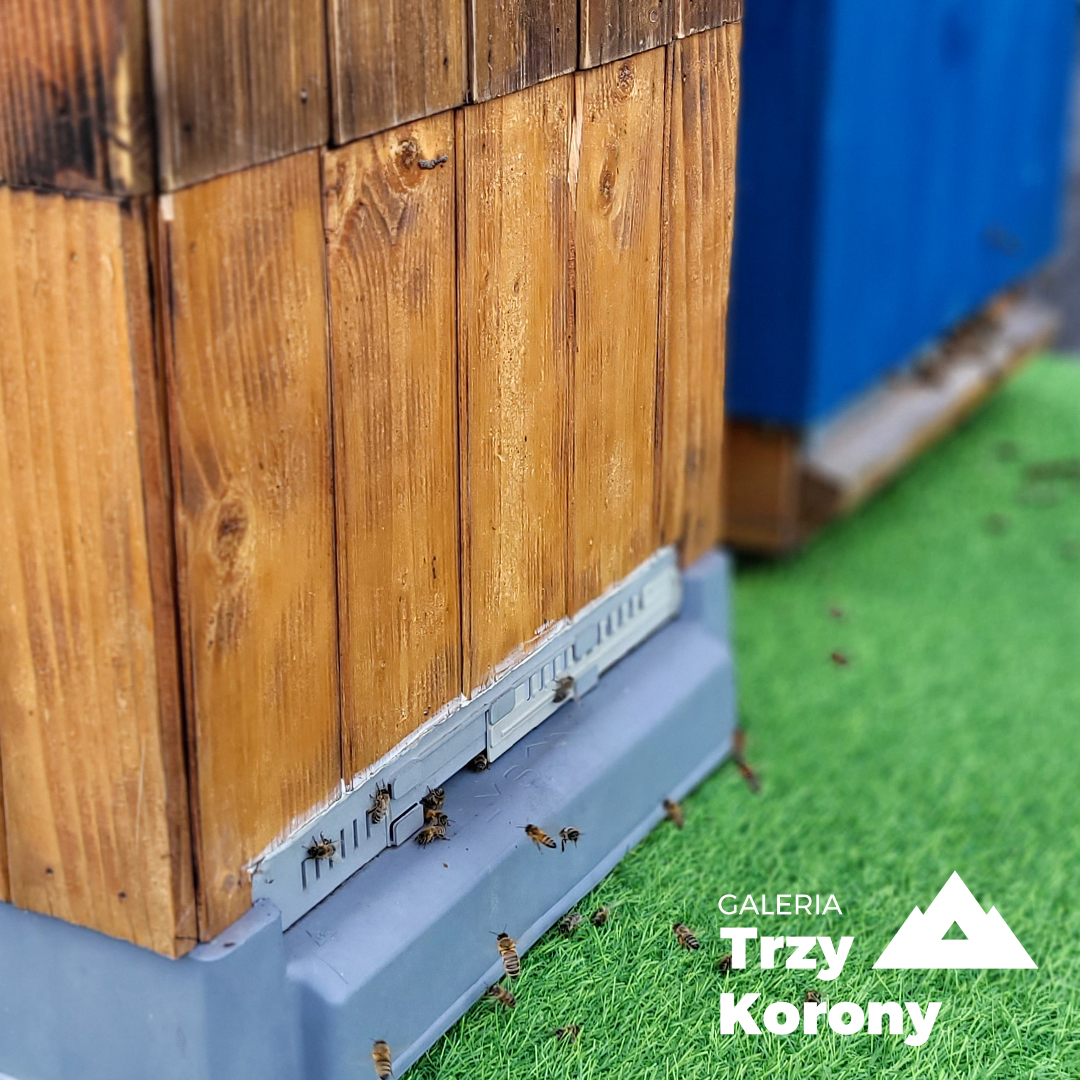 Trzy Korony, Nowy Sącz