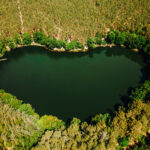 MyNaSzlaku, Mistrzostwa Vlogerów