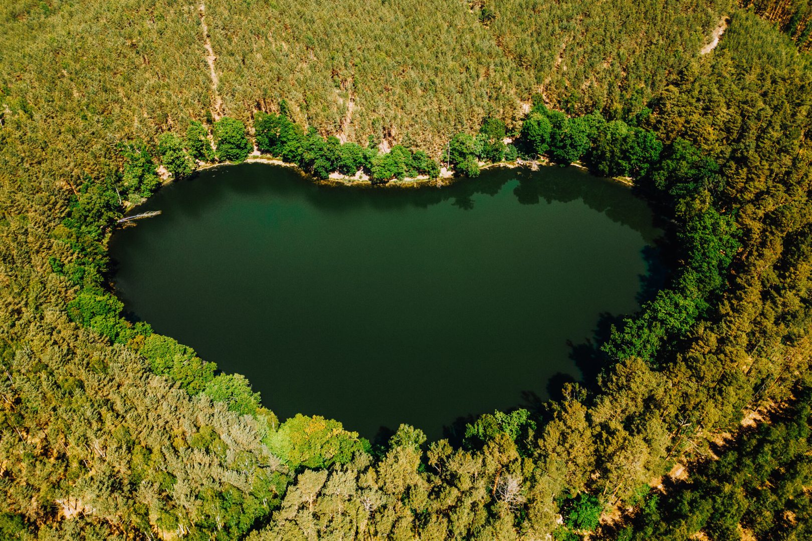 MyNaSzlaku, Mistrzostwa Vlogerów