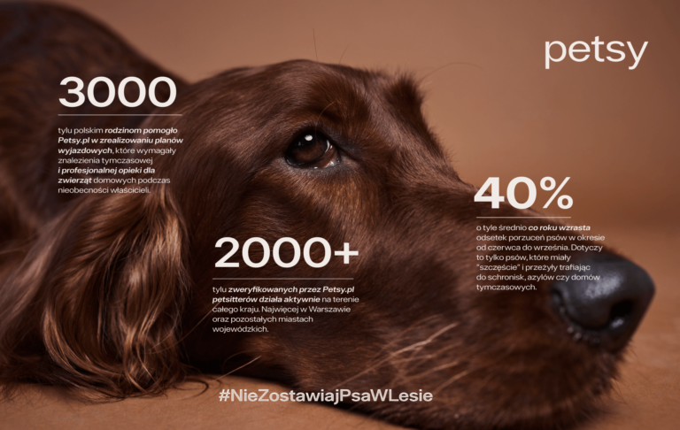 Nie zostawiaj psa w lesie, masz las rąk do pomocy
