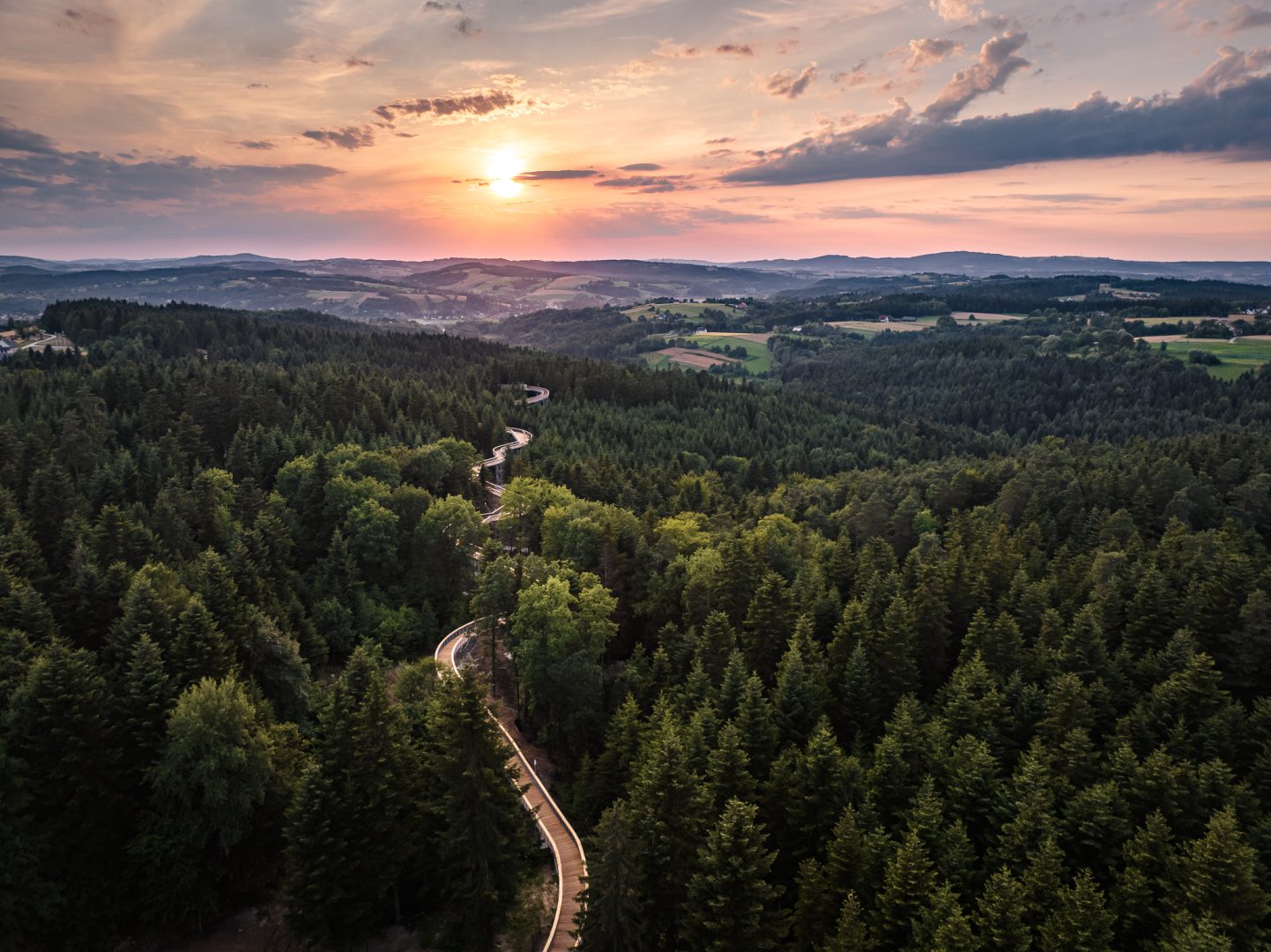 Ciężkowice, ścieżka w koronach drzew