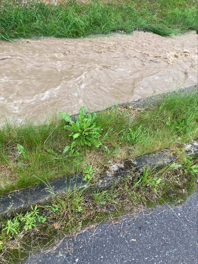 Krynica Dolna, petycja