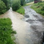 Krynica Dolna, petycja