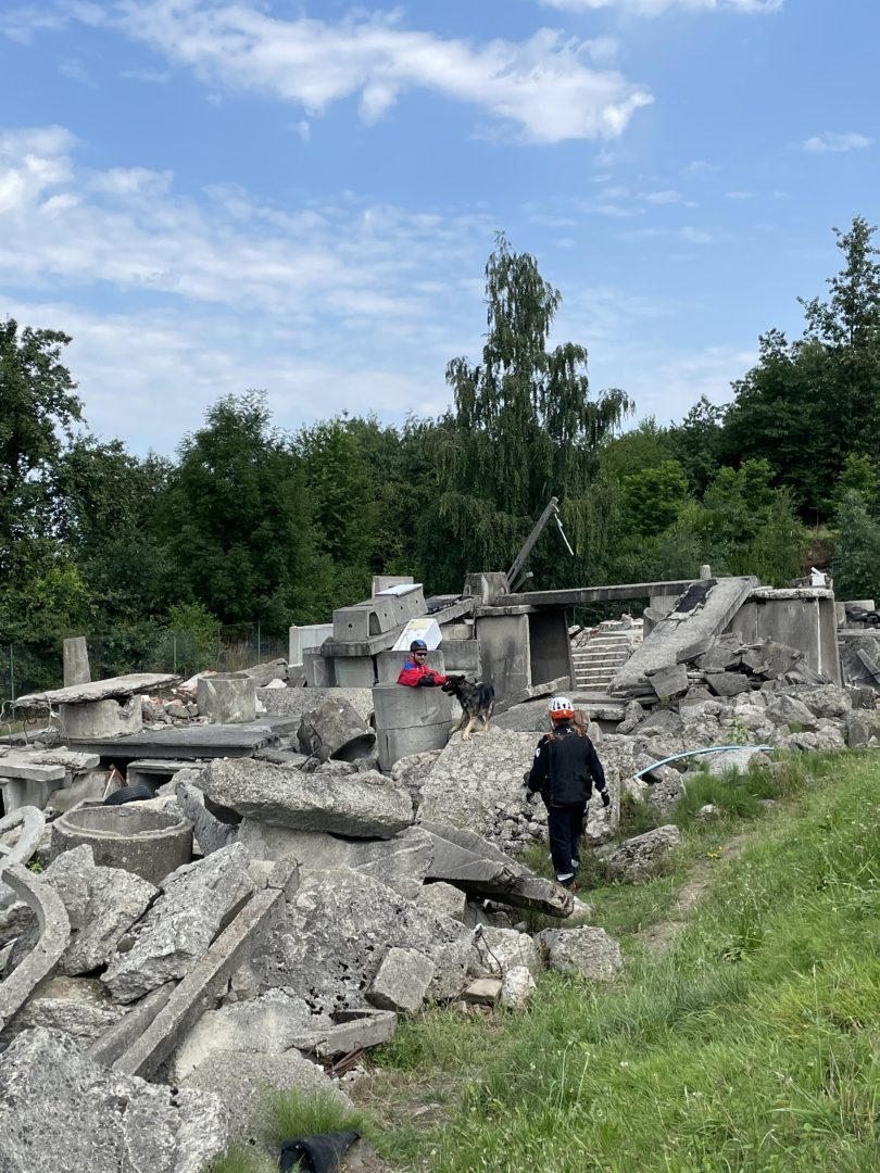 szkolenie psów ratowniczych, GOPR