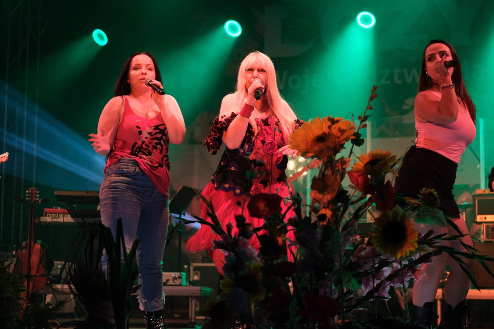 koncert Maryli Rodowicz, Dożynki Województwa Małopolskiego, Korzenna