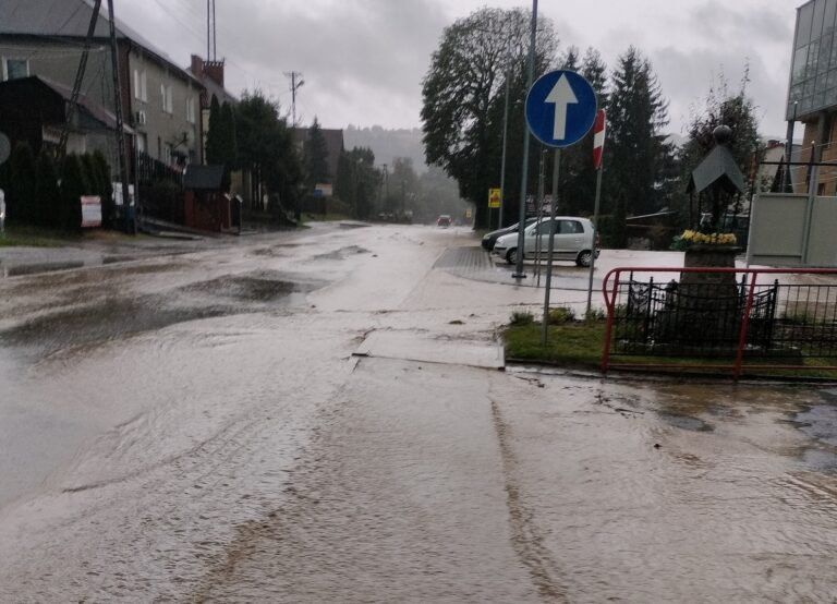 Burza nad Sądecczyzną. Strażacy interweniują od rana