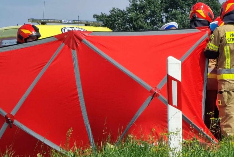 DK28 Nowy Sącz-Grybów. Śmiertelne potrącenie pieszej