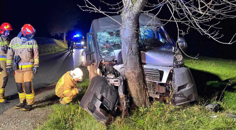 Kierowca samochodu dostawczego chciał uniknąć zderzenia z leśną zwierzyną [ZDJĘCIA]