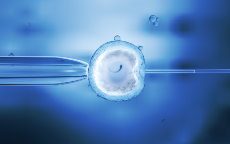 Finansowanie in vitro dla mieszkańców Nowego Sącza – zagłosuj!