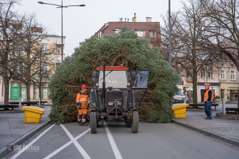 Dziesięciometrowa choinka stanęła na gorlickim rynku [ZDJĘCIA]