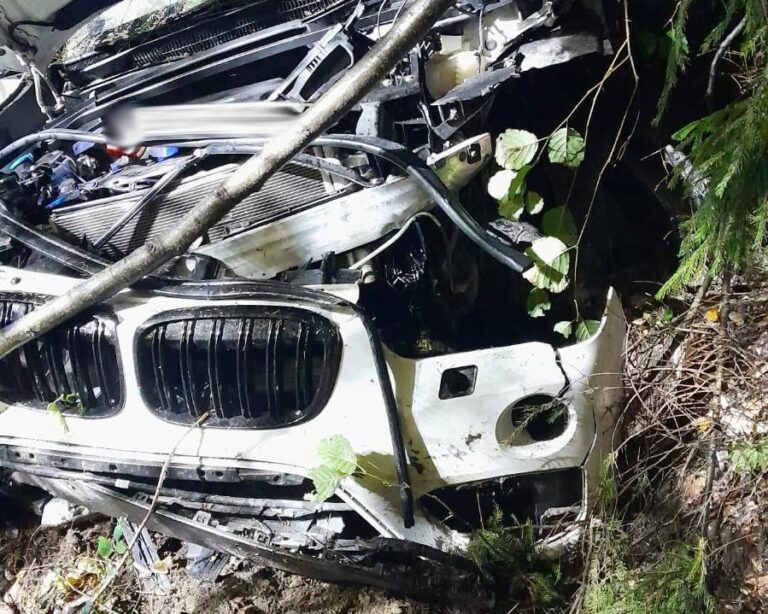 Łazy Biegonickie. BMW w rowie. Strażacy musieli wydostać zakleszczoną osobę