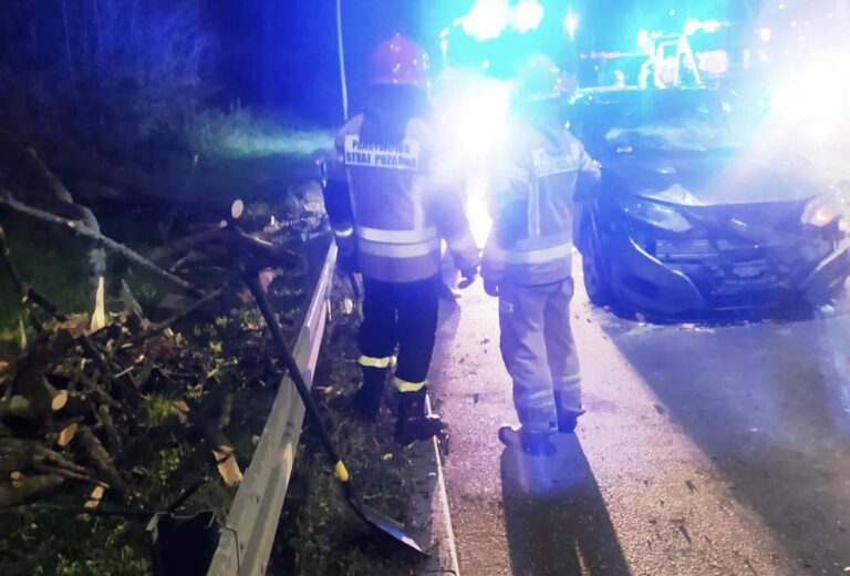 Nowy Sącz. Na jadące samochody runęło drzewo