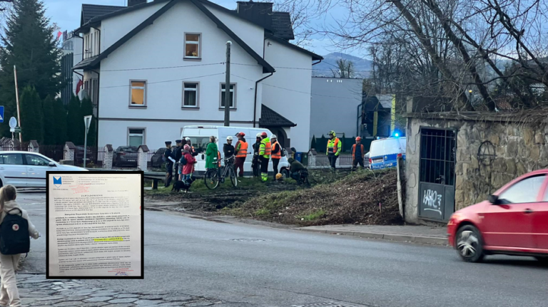 Nowy Sącz. Czy dziś na ulicy Czarnieckiego złamano prawo? Kontrowersja przy wycince drzew