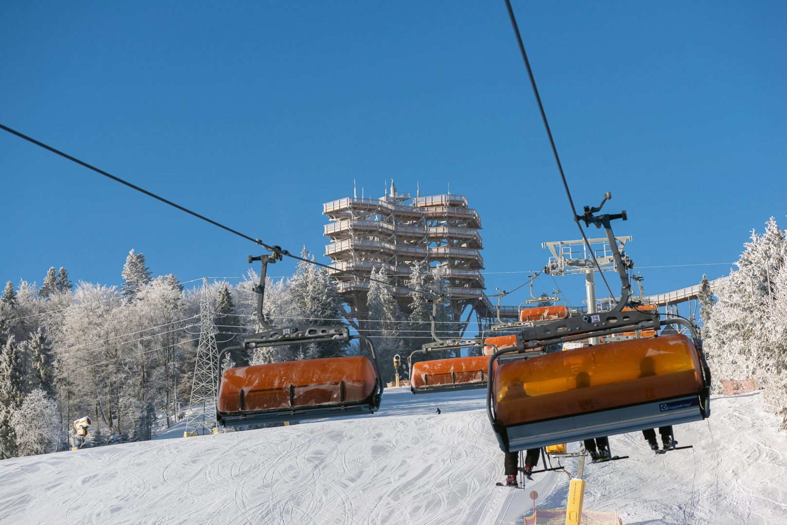 black weekend KARNETY W GRUPIE PINGWINA