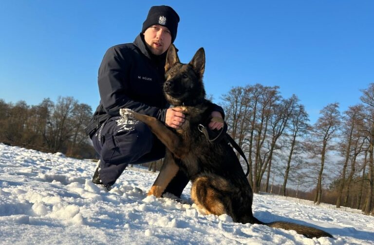 Szukają ładunków wybuchowych, narkotyków i zwłok. Oto nowi czworonożni policjanci [ZDJĘCIA]